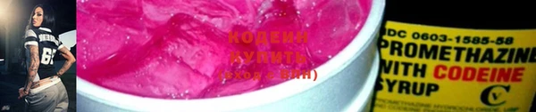 эйфоретик Алзамай