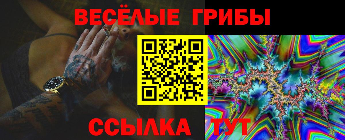 Псилоцибиновые грибы Psilocybe  Вход с VPN  Тверь 