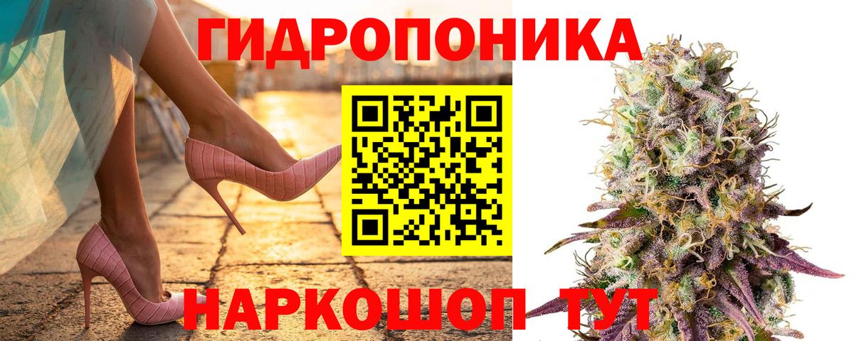 Бошки марихуана White Widow Тверь